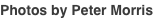 shapeimage_4_link_0